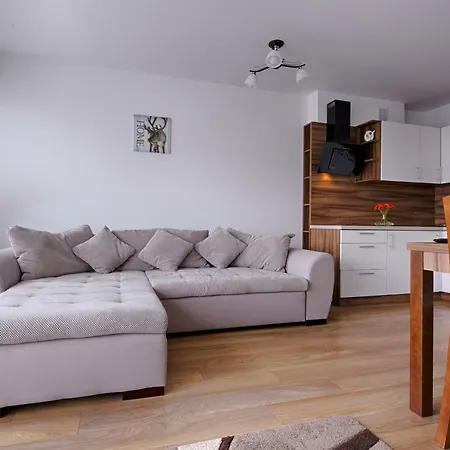 Apartment Apartament Szarotka Widok Na Tatry, Taras *